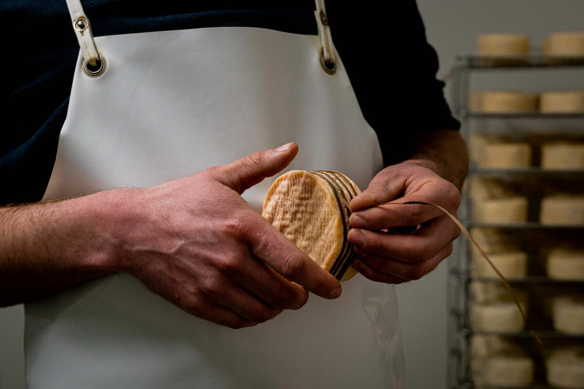 Fabrication de fromage à la ferme de la Mondière - Le Photographe du Dimanche - Calvados Attractivité